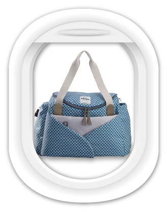 travelbag Icon